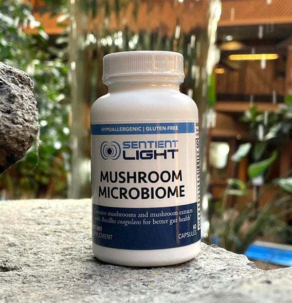 Mushroom Microbiome