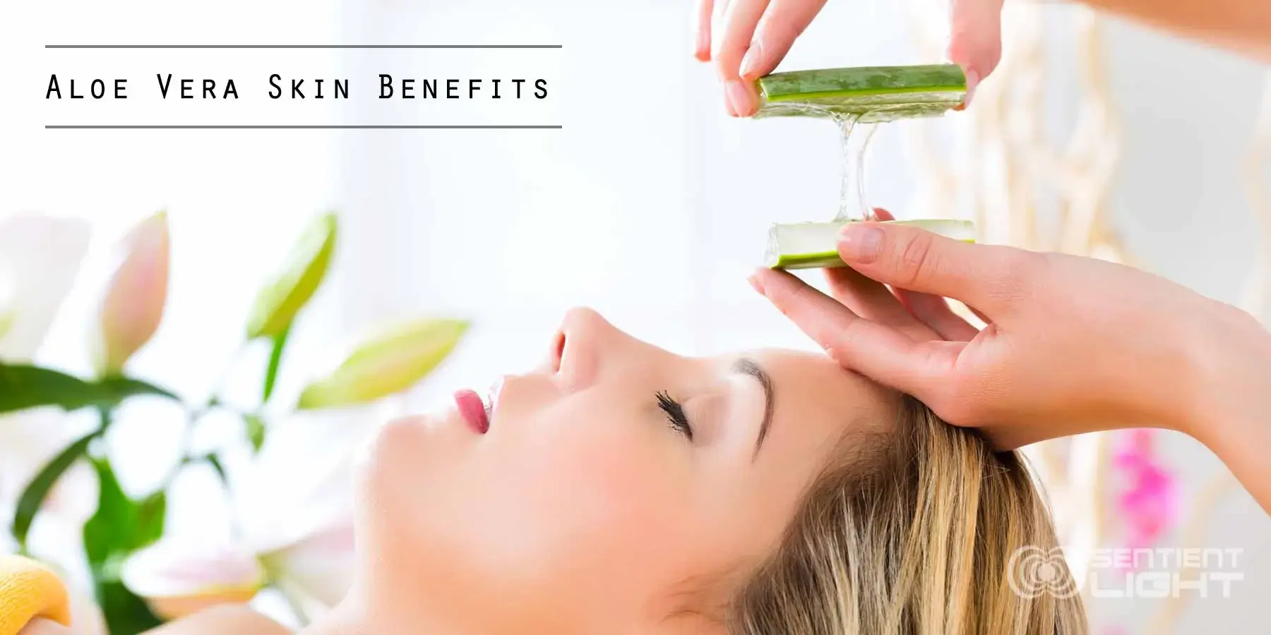 Aloe Vera Skin Benefits