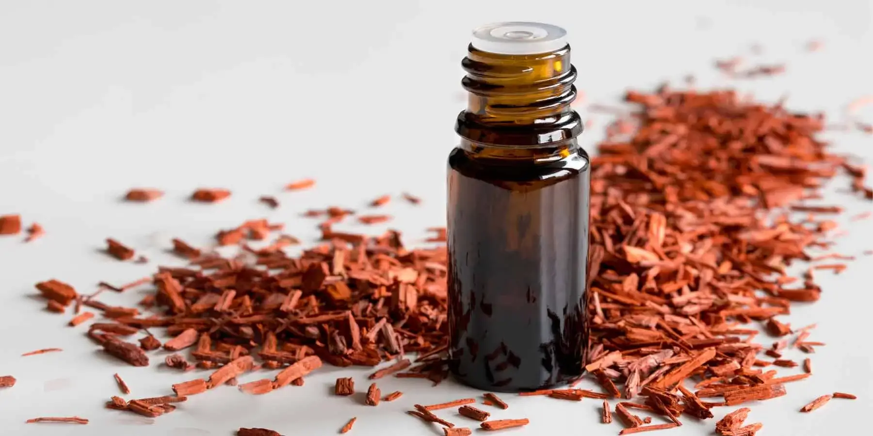 Benefits and Uses of Sandalwood Oil