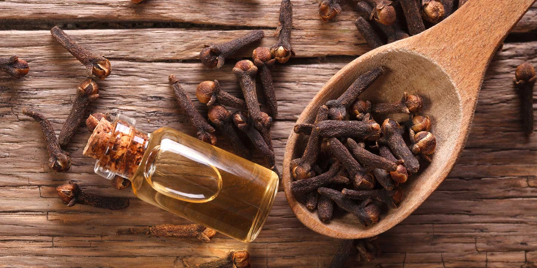 Benefits and Uses of Clove Essential Oil