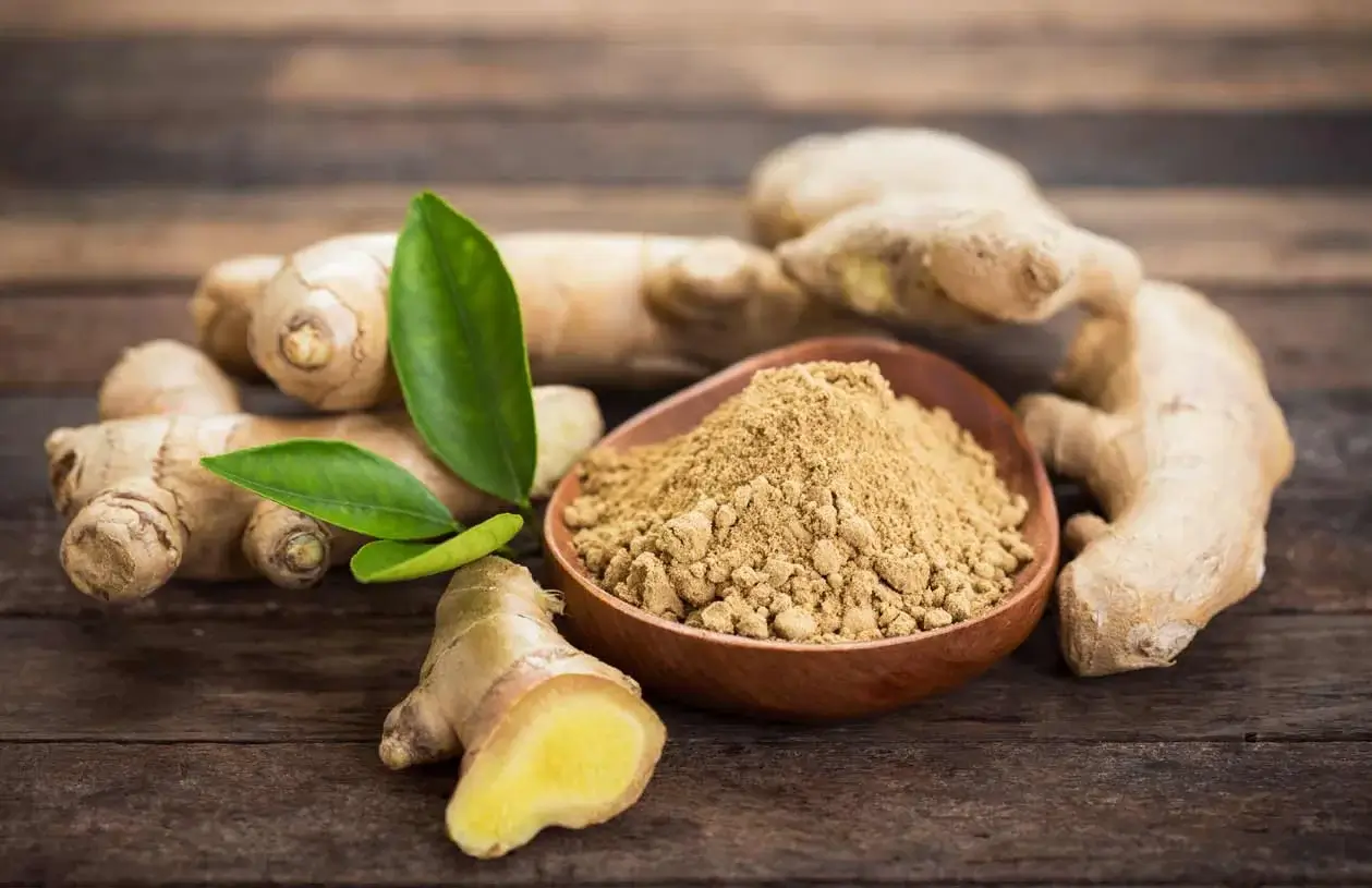 Benefits and Uses of Ginger