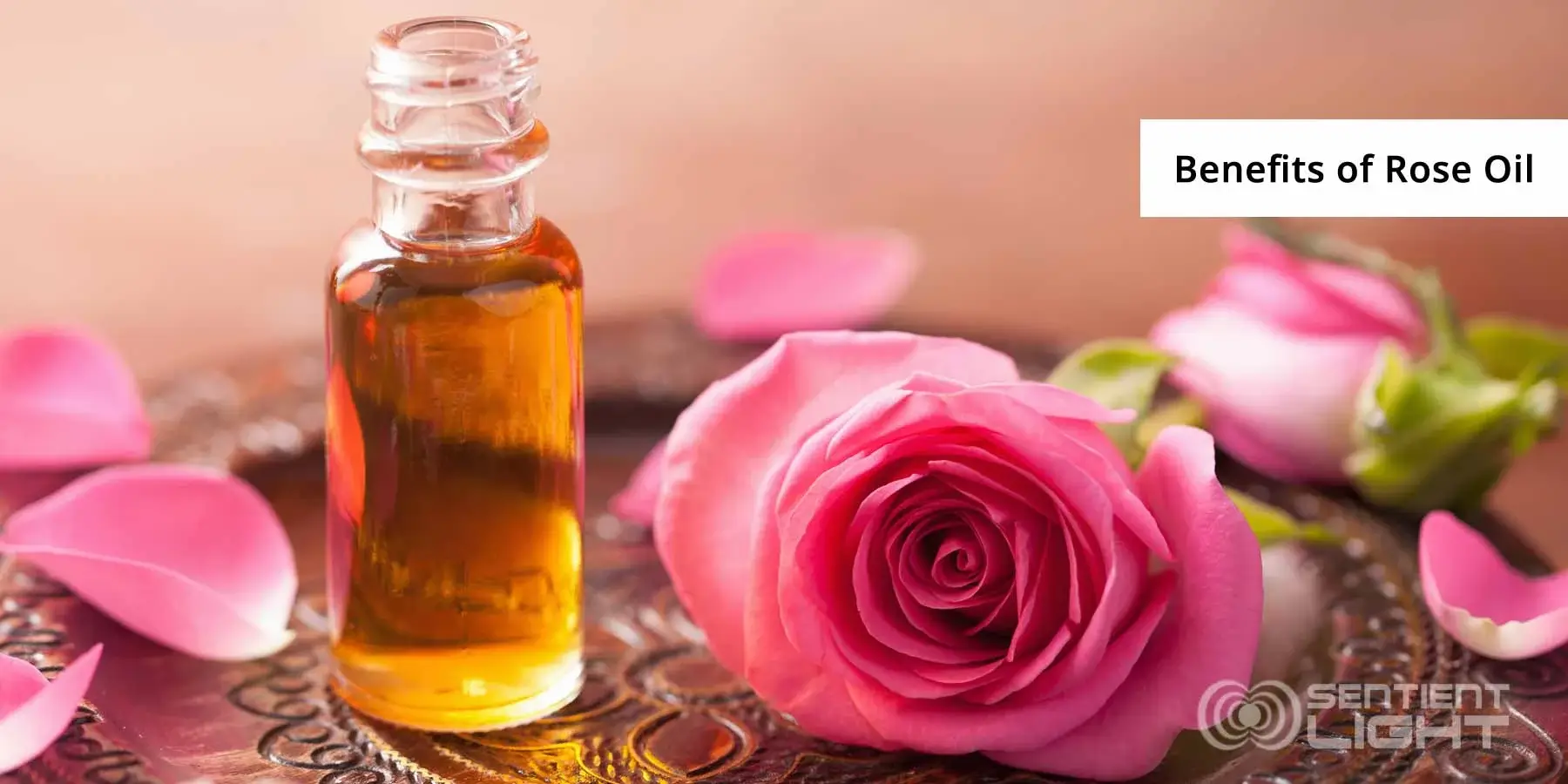 Health Benefits of Rose Essential Oil
