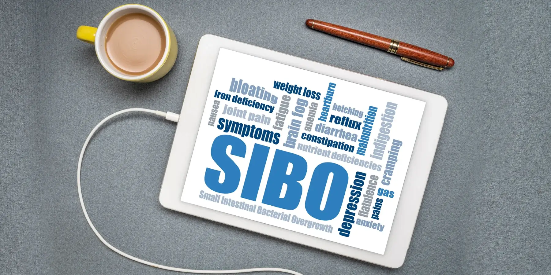 Is it SIBO Syndrome or Lyme Disease?