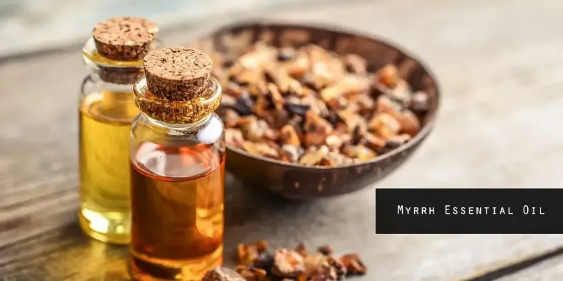 myrrh-essential-oil
